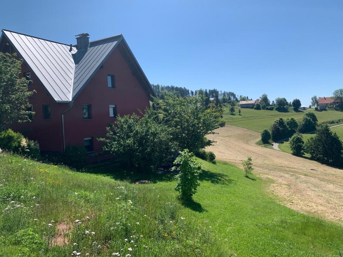 Blackforest Homestay Apartments Herrischried Exterior foto