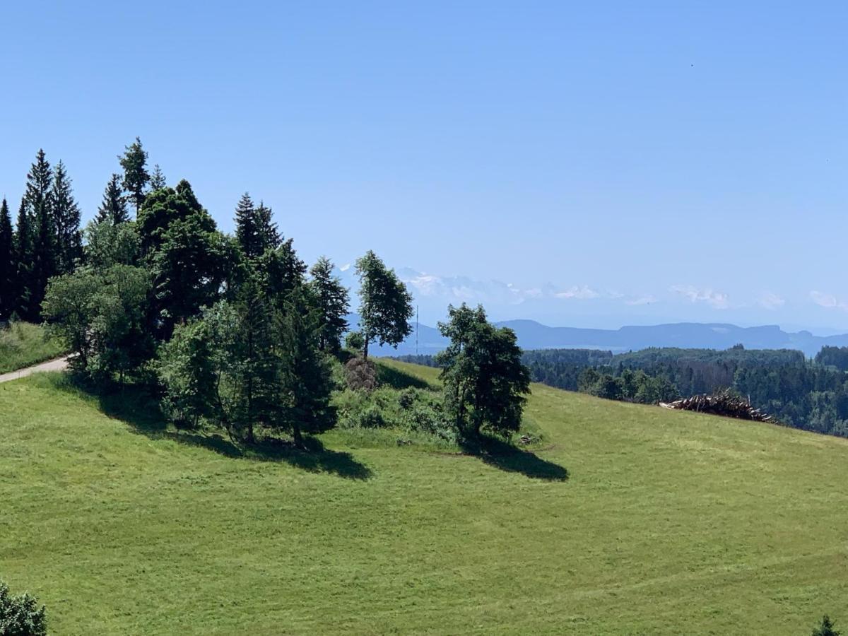 Blackforest Homestay Apartments Herrischried Exterior foto